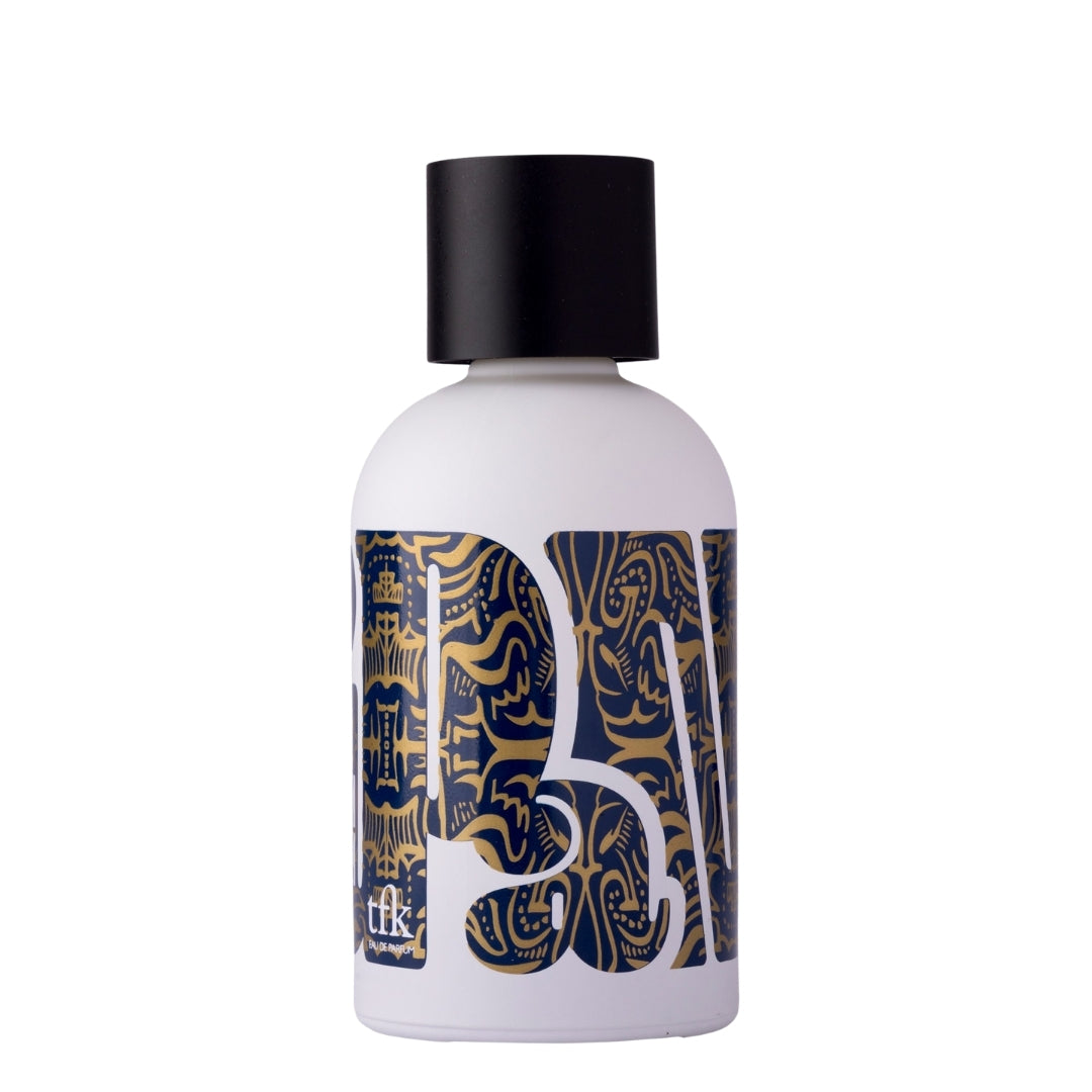 THE MAN FROM IPANEMA